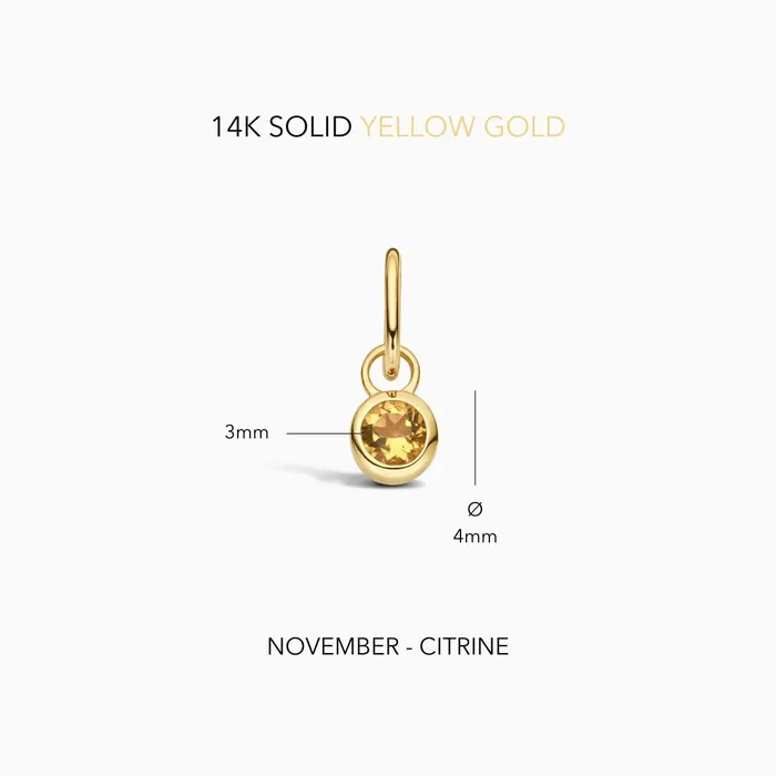 Eline Rosina Charm Necklaces Birthstone Charm November