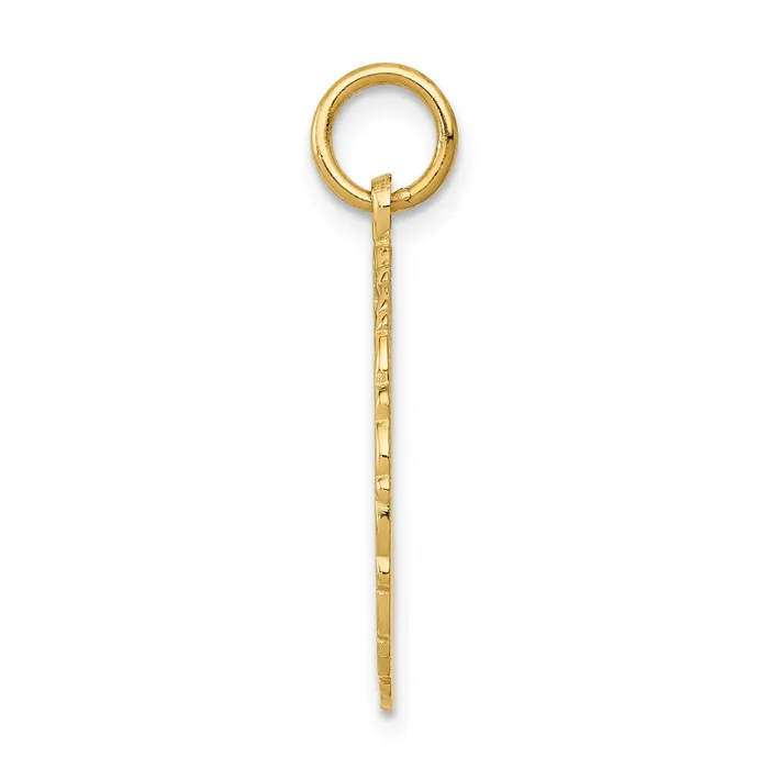 14k Yellow Gold 20 mm RN Registered Nurse Disc Charm 152 grams Qgold Charm Necklaces